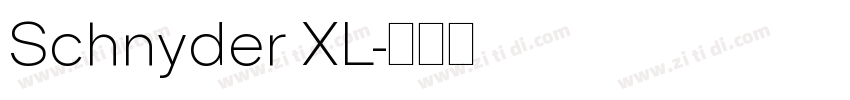 Schnyder XL字体转换